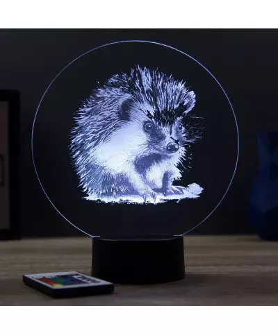 Lampe illusion 3D en verre acrylique gravée au laser représentant un Hérisson.