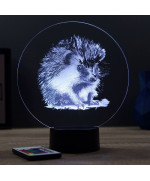 Lampe illusion 3D en verre acrylique gravée au laser représentant un Hérisson.