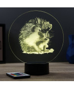 Lampe illusion 3D en verre acrylique gravée au laser représentant un Hérisson.