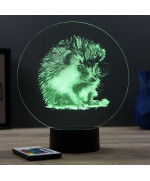 Lampe illusion 3D en verre acrylique gravée au laser représentant un Hérisson.