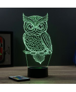 Lampe illusion 3D en verre acrylique gravée au laser représentant une Chouette.
