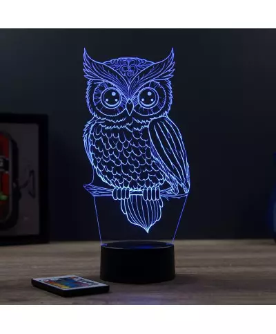 Lampe illusion 3D en verre acrylique gravée au laser représentant une Chouette.