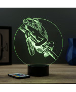 Lampe illusion 3D en verre acrylique gravée au laser représentant une Grenouille.