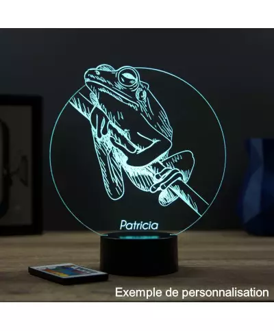 Lampe illusion 3D en verre acrylique gravée au laser représentant une Grenouille.