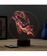 Lampe illusion 3D en verre acrylique gravée au laser représentant une Grenouille.
