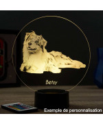 Lampe illusion 3D en verre acrylique gravée au laser représentant un Chien Berger Australien.