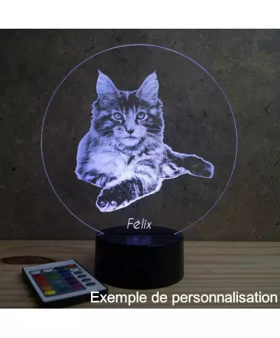 Lampe illusion 3D en verre acrylique gravée au laser représentant un Chat Maine Conn Allongé