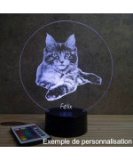 Lampe illusion 3D en verre acrylique gravée au laser représentant un Chat Maine Conn Allongé