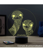 Lampe illusion 3D en verre acrylique gravée au laser représentant 2 autruches.