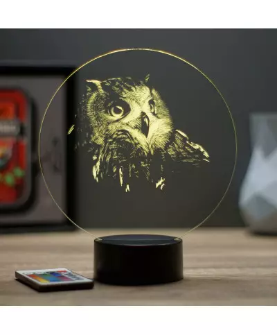 Lampe illusion 3D en verre acrylique gravée au laser représentant une tête de Hibou.