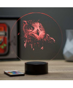 Lampe illusion 3D en verre acrylique gravée au laser représentant une tête de Hibou.