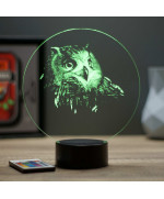 Lampe illusion 3D en verre acrylique gravée au laser représentant une tête de Hibou.