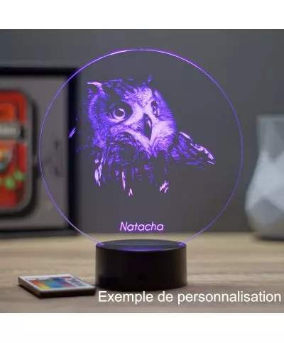 Lampe illusion 3D en verre acrylique gravée au laser représentant une tête de Hibou.