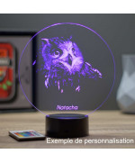 Lampe illusion 3D en verre acrylique gravée au laser représentant une tête de Hibou.