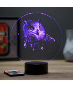 Lampe illusion 3D en verre acrylique gravée au laser représentant une tête de Hibou.