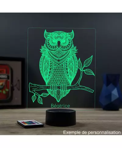 Lampe illusion 3D en verre acrylique gravée au laser représentant un Hibou.