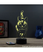 Lampe illusion 3D en verre acrylique gravée au laser représentant un Chat.