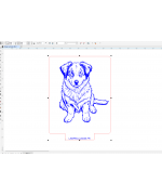 Dessin Berger Australien