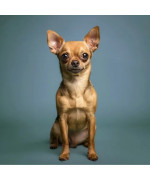 Lampe illusion 3D sur mesure, réalisée à partir d'une photo fournie par le client.